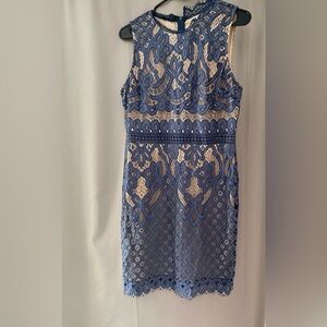 Elegant Blue Lace Dress